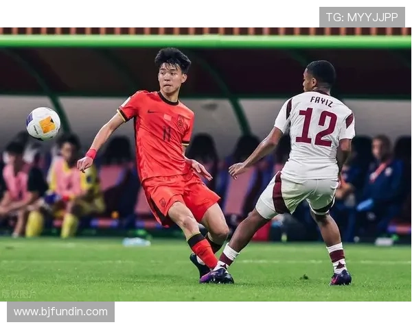 辽宁足球明星哥是谁 视频揭秘其背后的成长历程与成就